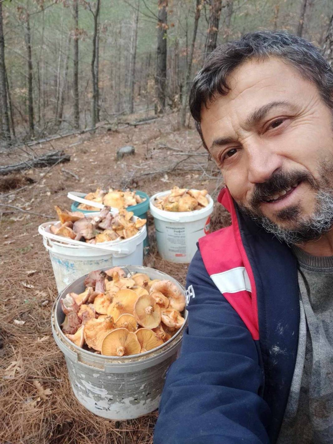 Ormandan bedavaya toplayıp satıyor: Ayda 90 bin TL kazanıyor! Sıfır sermayeli işle köşeyi döndü 3